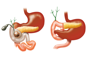 3d illustration of pancreas